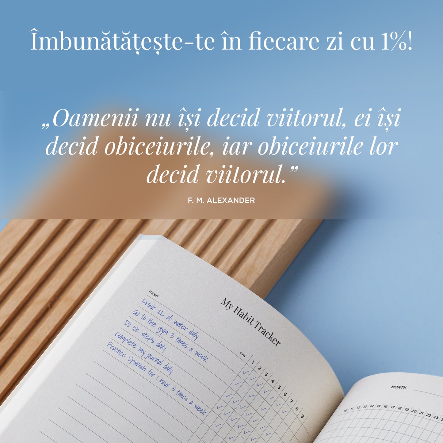 Jurnalul Creatorul Vieții Mele